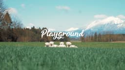 Playground